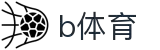 B体育APP下载 - B体育官方网站B SPORTS